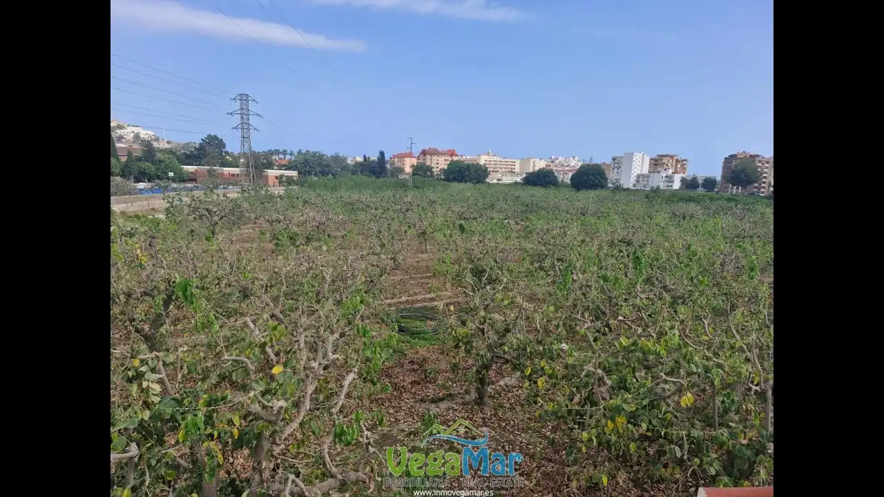 Casa o chalet en venta en Almuñécar con Terraza