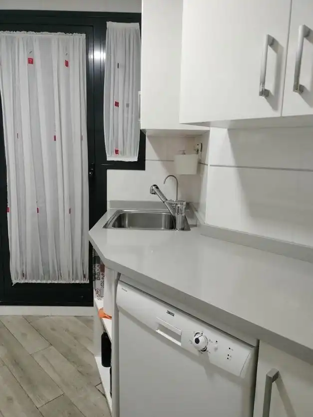 Cocina de Piso de alquiler en El Pla del Real