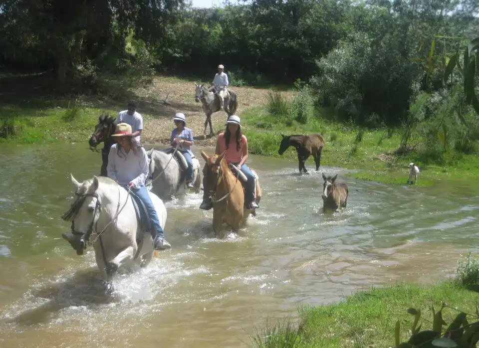 Terreni e lotti in vendita a Sanlúcar la Mayor