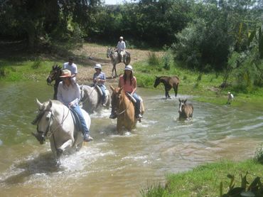 Rural land for sale in Sanlúcar la Mayor