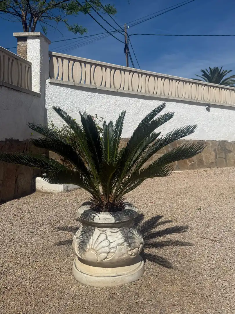 Jardín de Casa o chalet en venta en Mont-roig del Camp con Jardín privado y Terraza