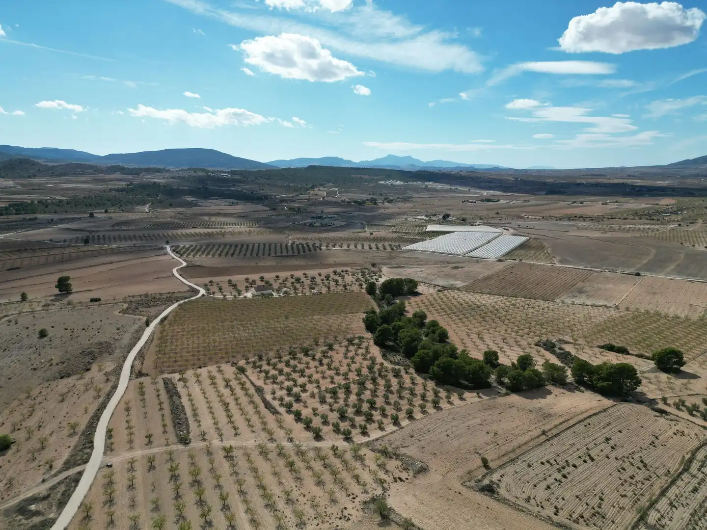 Terreno residencial en venta en El Pinós / Pinoso, imagen 22