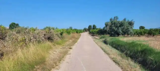 Rural land for sale in Partida Vilella, imagen 10