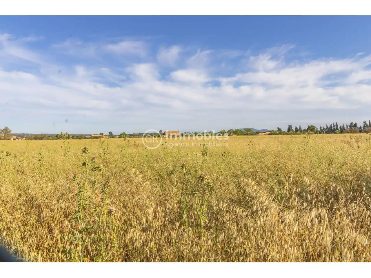 Terreno rustico in vendita a Calle major, imagen 5