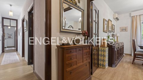 Exclusiva Villa de Una Sola Planta con Gran Potencial en Los Cerros de Montequinto, image 4