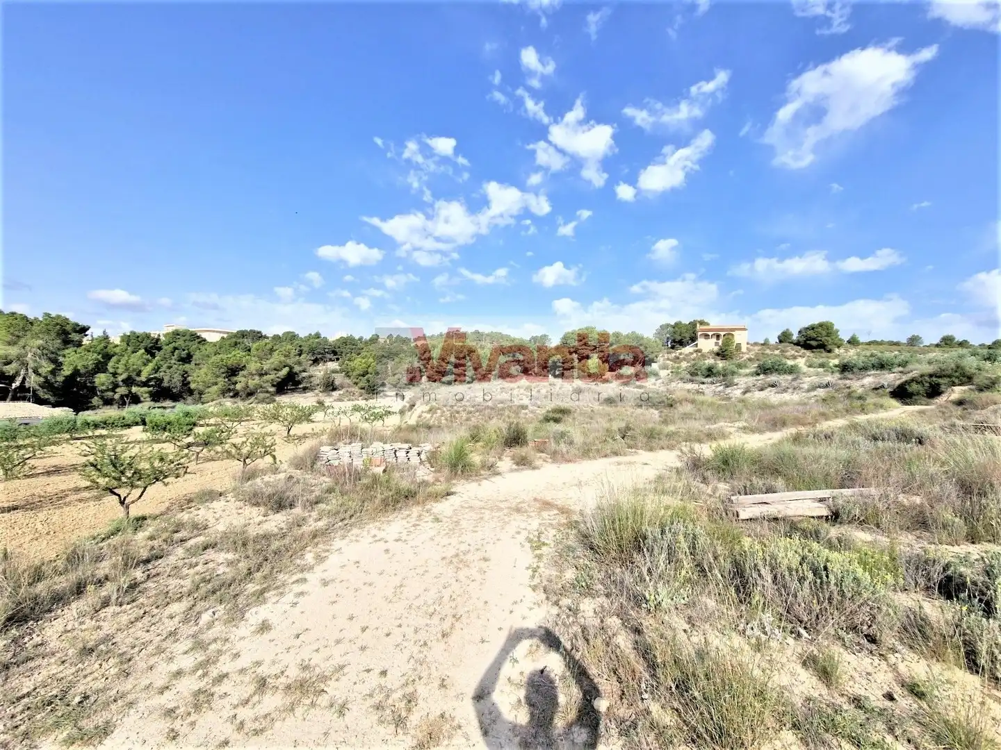 Casa o chalet en venta en Lorca