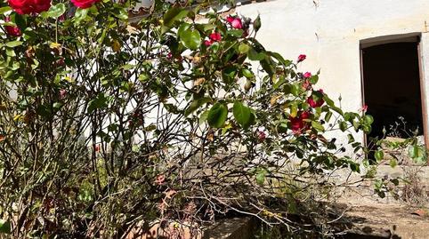 Photo 2 of Planta baja for sale in Manuel Arribas Carrillo, Villaviciosa de Córdoba, Córdoba