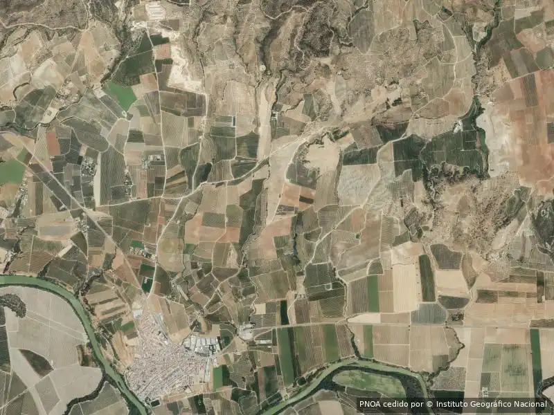 Appartamento in vendita a Alcolea del Río, imagen 3