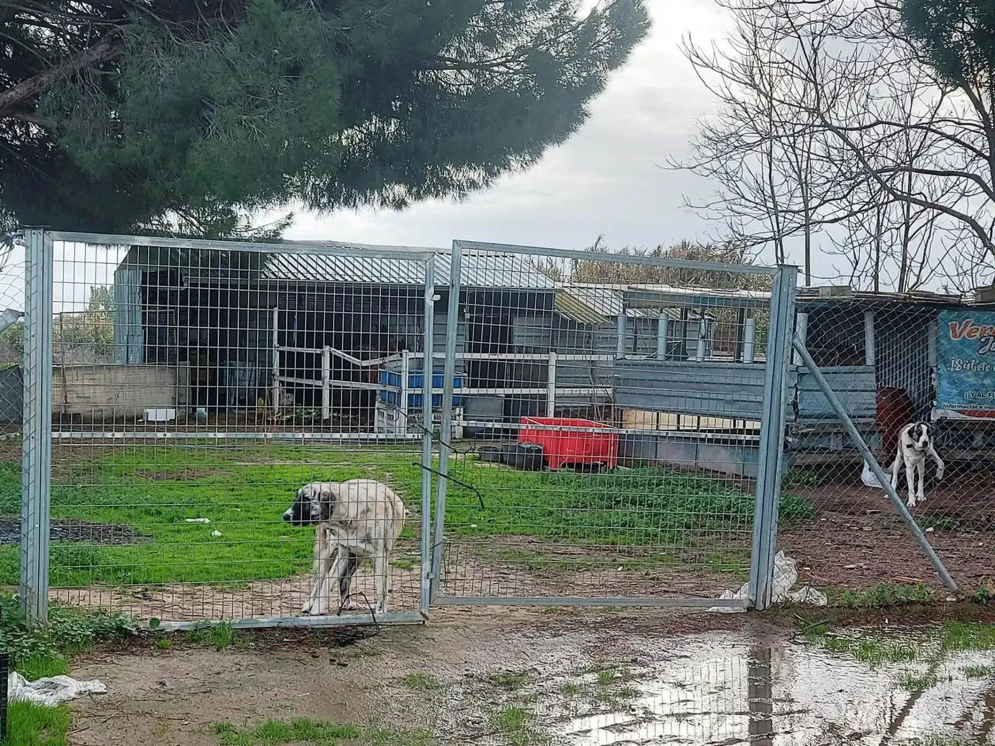 Vista exterior de Finca rústica en venda en Bollullos de la Mitación amb Jardí privat i Piscina