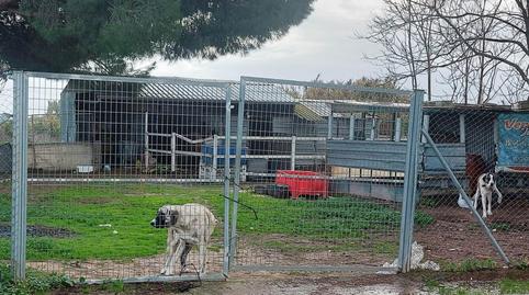 Foto 3 de Finca rústica en venta en Bollullos de la Mitación, Sevilla