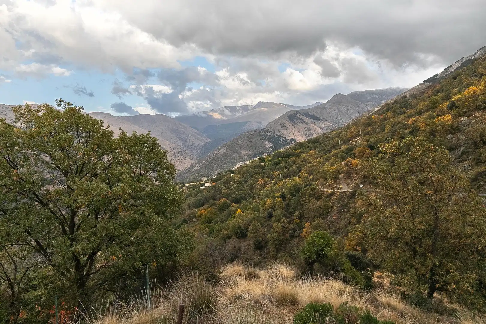 Lands and plots for sale in Güéjar Sierra, imagen 25
