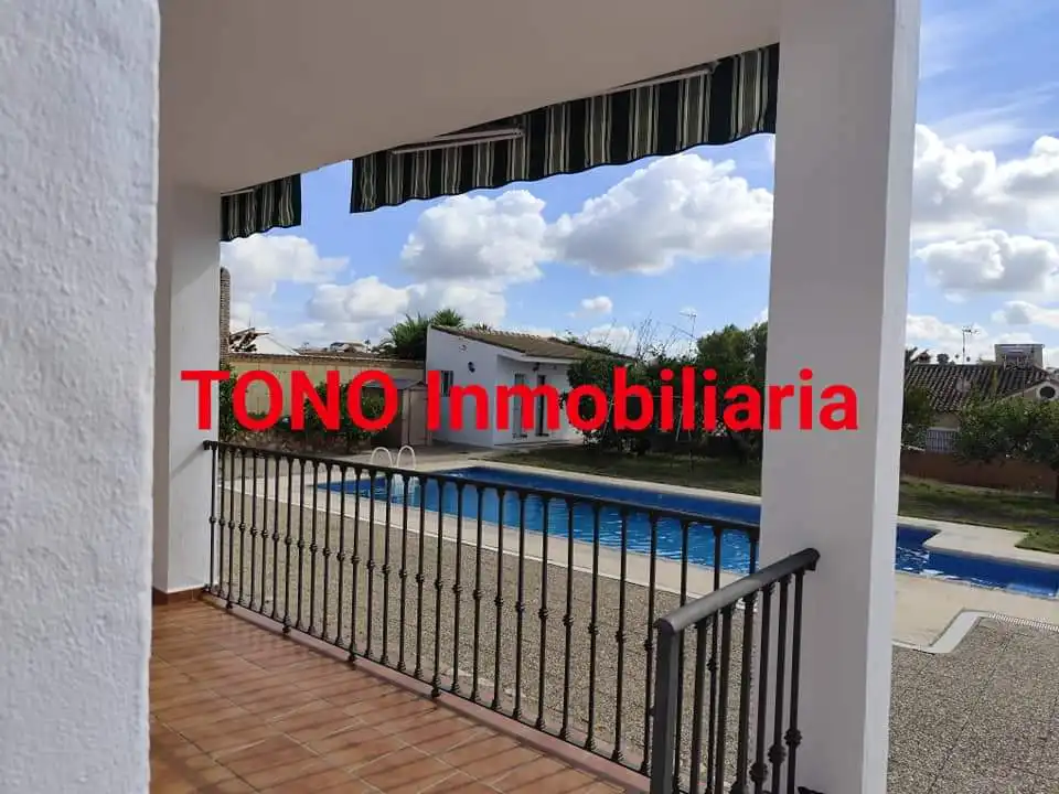 Vista exterior de Casa o xalet en venda en Écija amb Jardí privat, Terrassa i Piscina