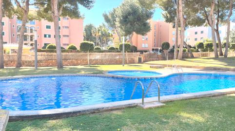 Foto 3 de Piso en venta en Maioris-Puig de Ros, Llucmajor