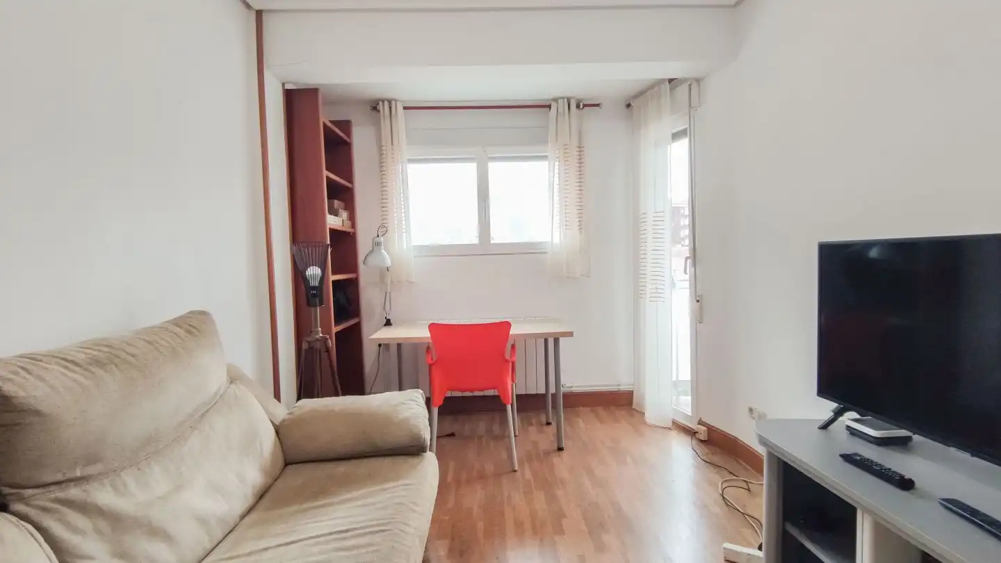 Sala d'estar de Apartament de lloguer en Donostia - San Sebastián  amb Calefacció i Balcó