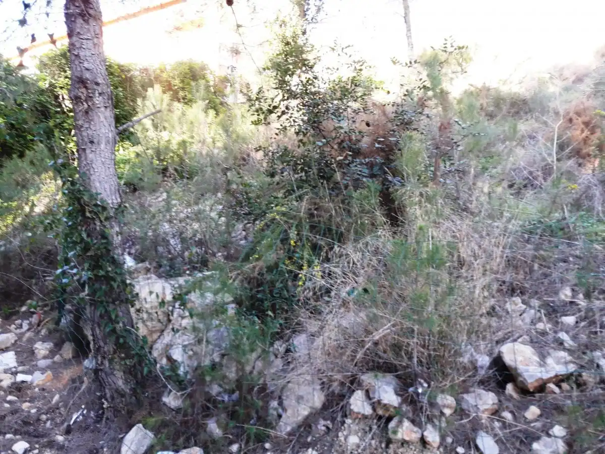 Terreno residencial en venta en Costa Cunit - Els Jardins - Els Rosers, imagen 12