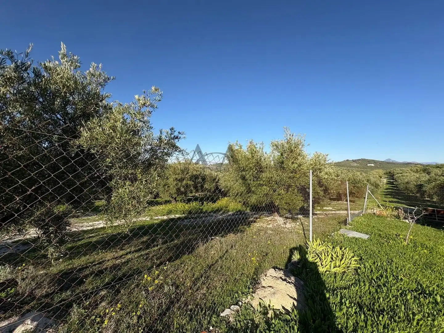 House for sale in Baena, imagen 29