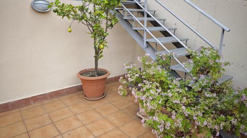 Foto 5 de Casa o chalet en venta en De Llerona, Torre Baró, Barcelona Capital