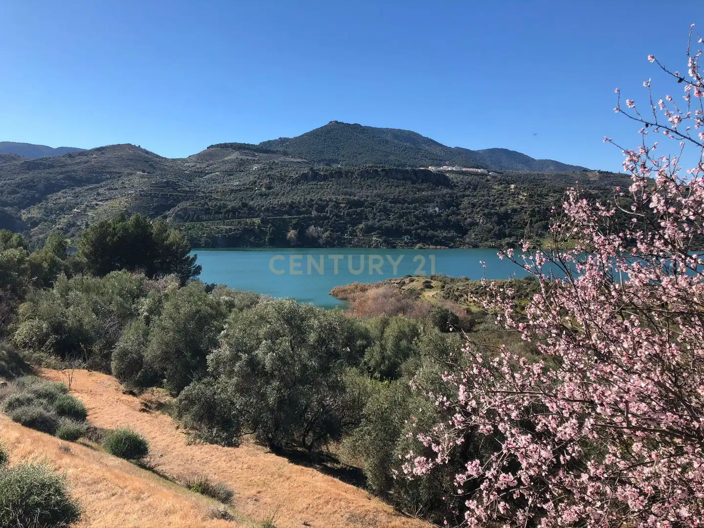 Terreno en venta en Lecrín