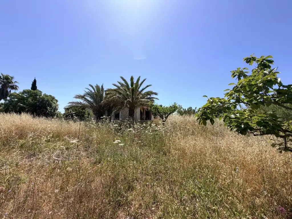 Casa amb jardí en venda a Nord, imagen 17