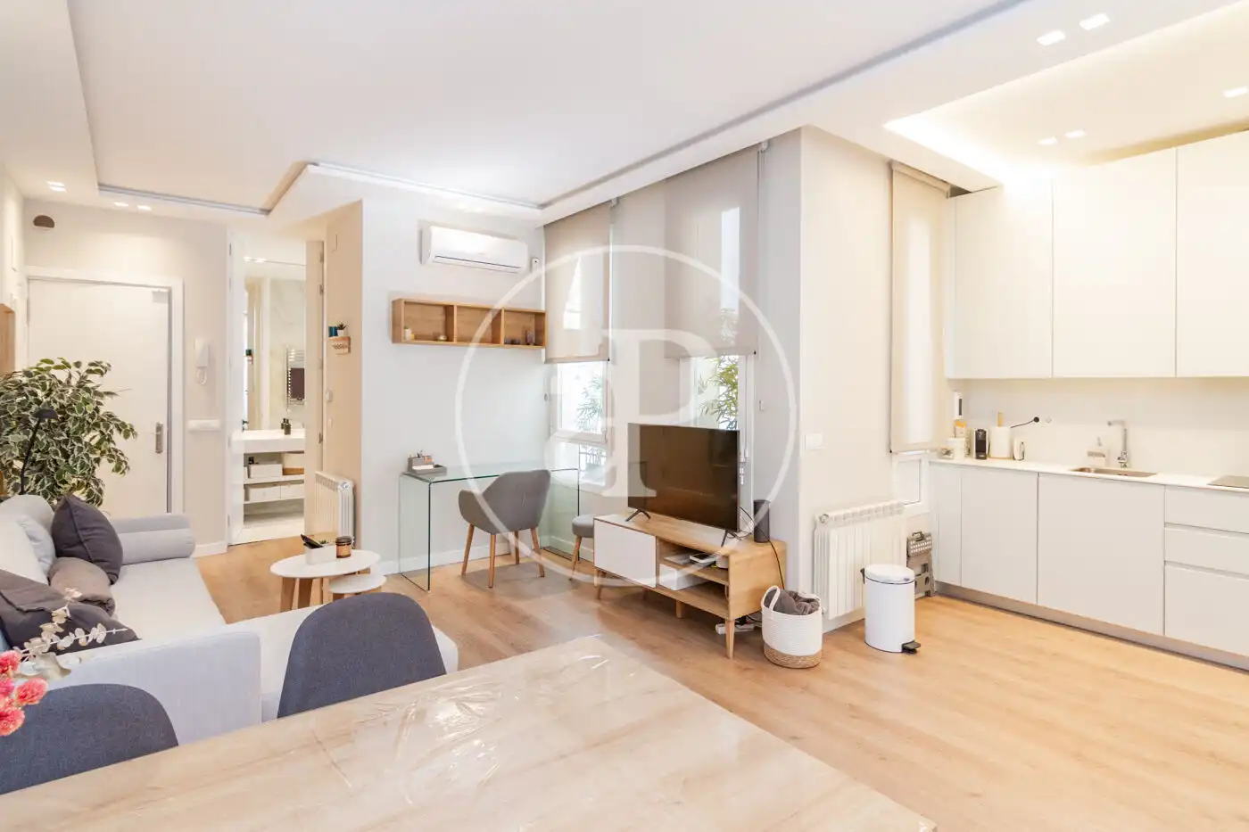 Living room of Flat for sale in Barrio de Salamanca