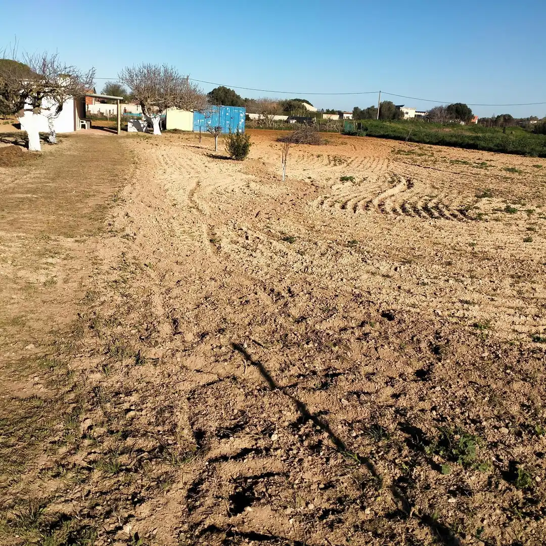 Lands and plots for sale in Los Franceses – La Vega, imagen 3