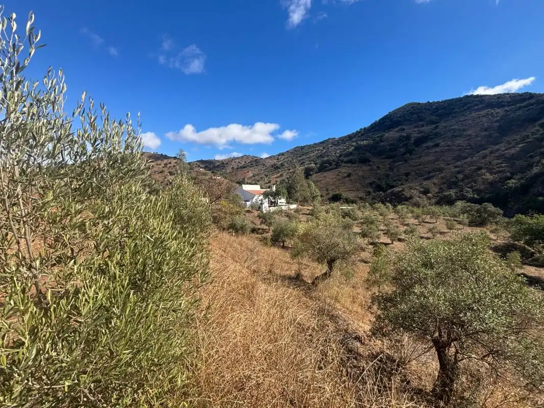 Finca rústica en venta en Polígono 23 Parcela 90 LAS FUENTES. ALMOGIA (MÁLAG, Almogía