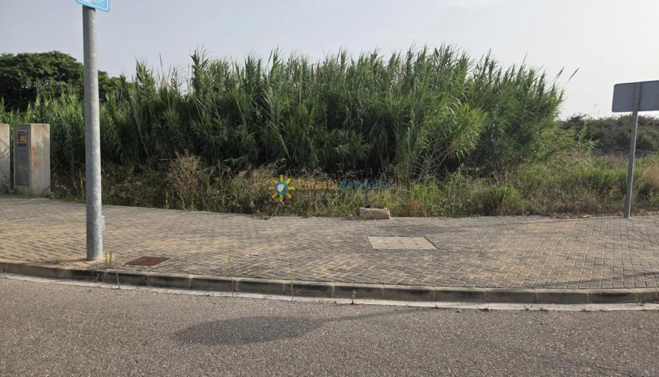 Photo 1 of Industrial land for sale in Daimús, Valencia