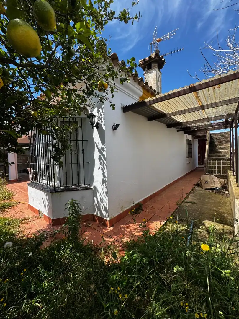 Exterior view of Houses for sale in Chiclana de la Frontera  with Private garden and Swimming Pool
