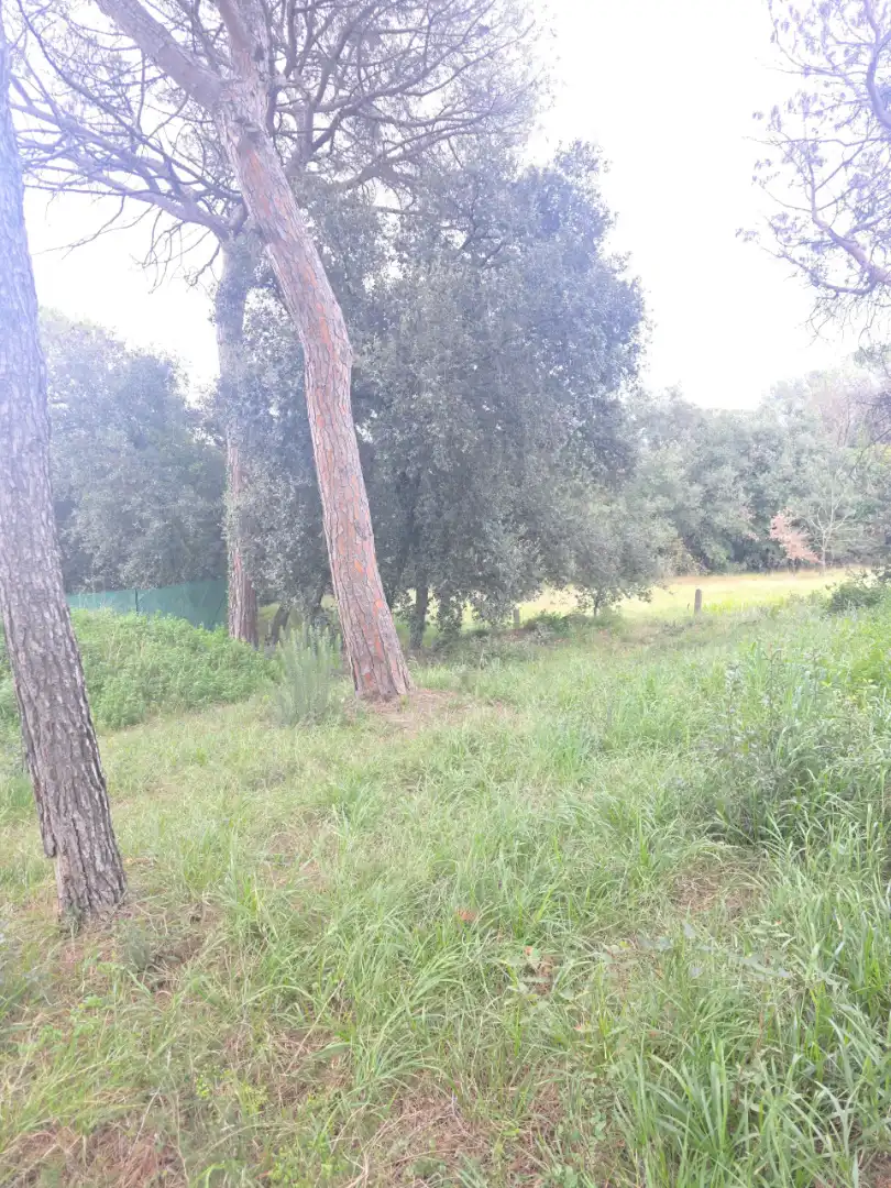 Terreny residencial en venda a Lliçà d'Amunt, imagen 7