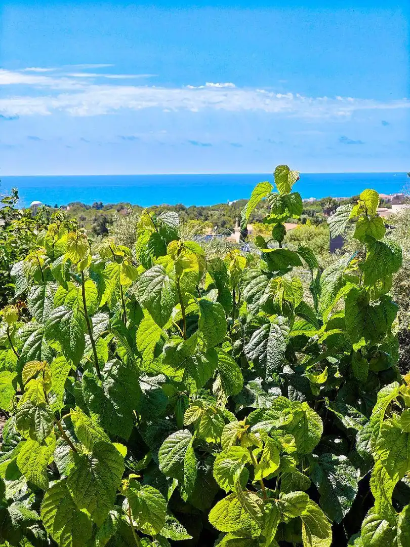 Casa o xalet en venda en Vilanova i la Geltrú amb Calefacció, Jardí privat i Terrassa