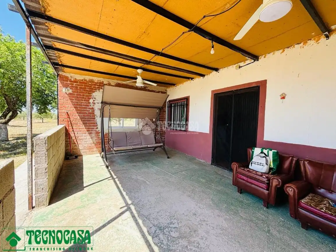 Land for sale in Mascaraque