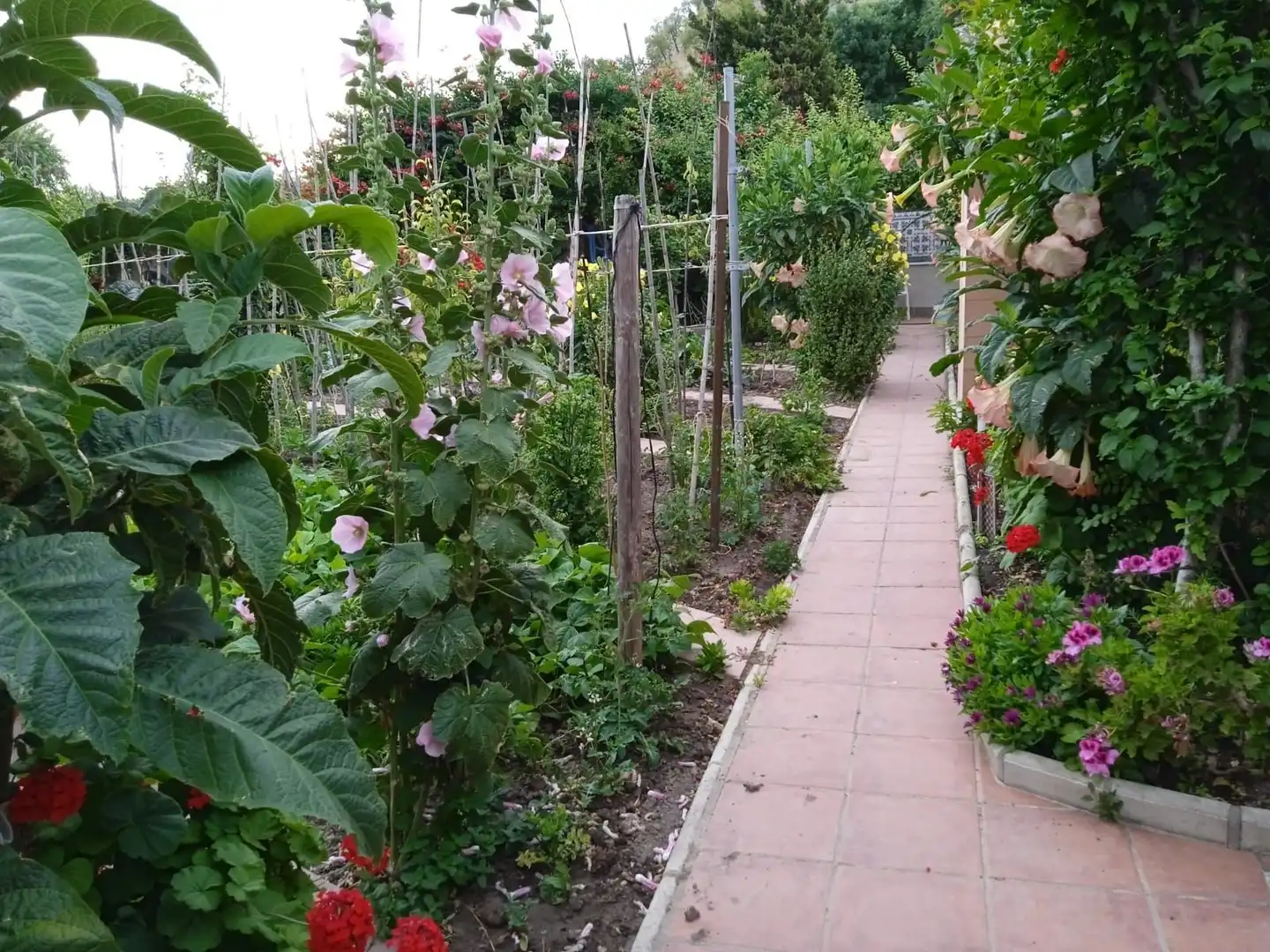 Jardín de Casa o chalet en venta en Cuevas del Becerro con Aire acondicionado, Calefacción y Jardín privado