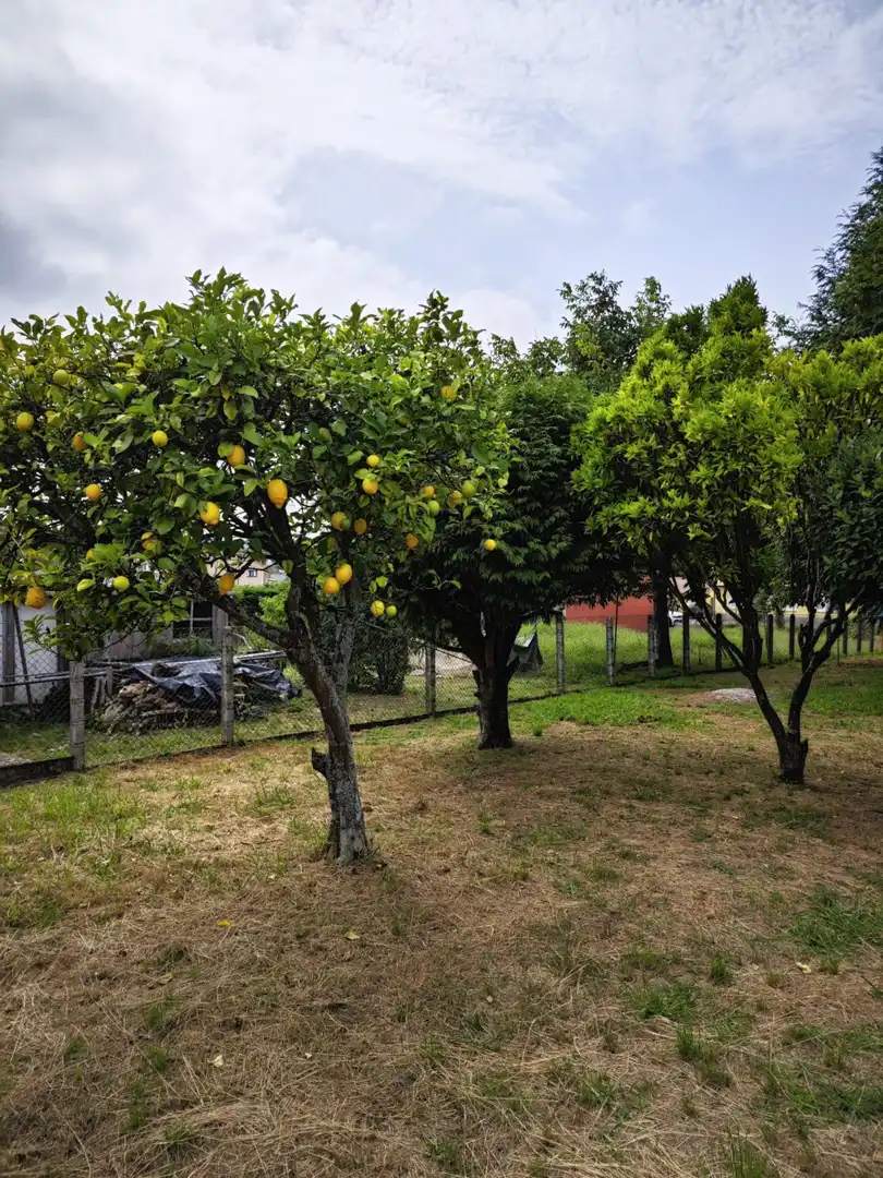 Casa en venda a Alto del Castaño, imagen 33