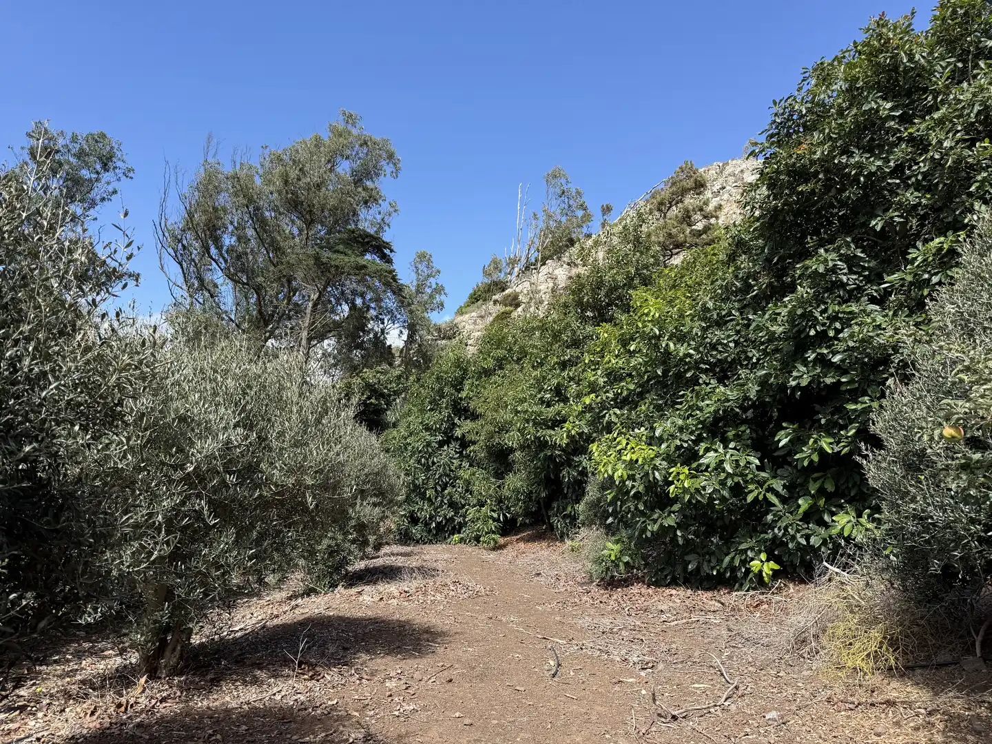 Rural land for sale in Tegueste, imagen 50