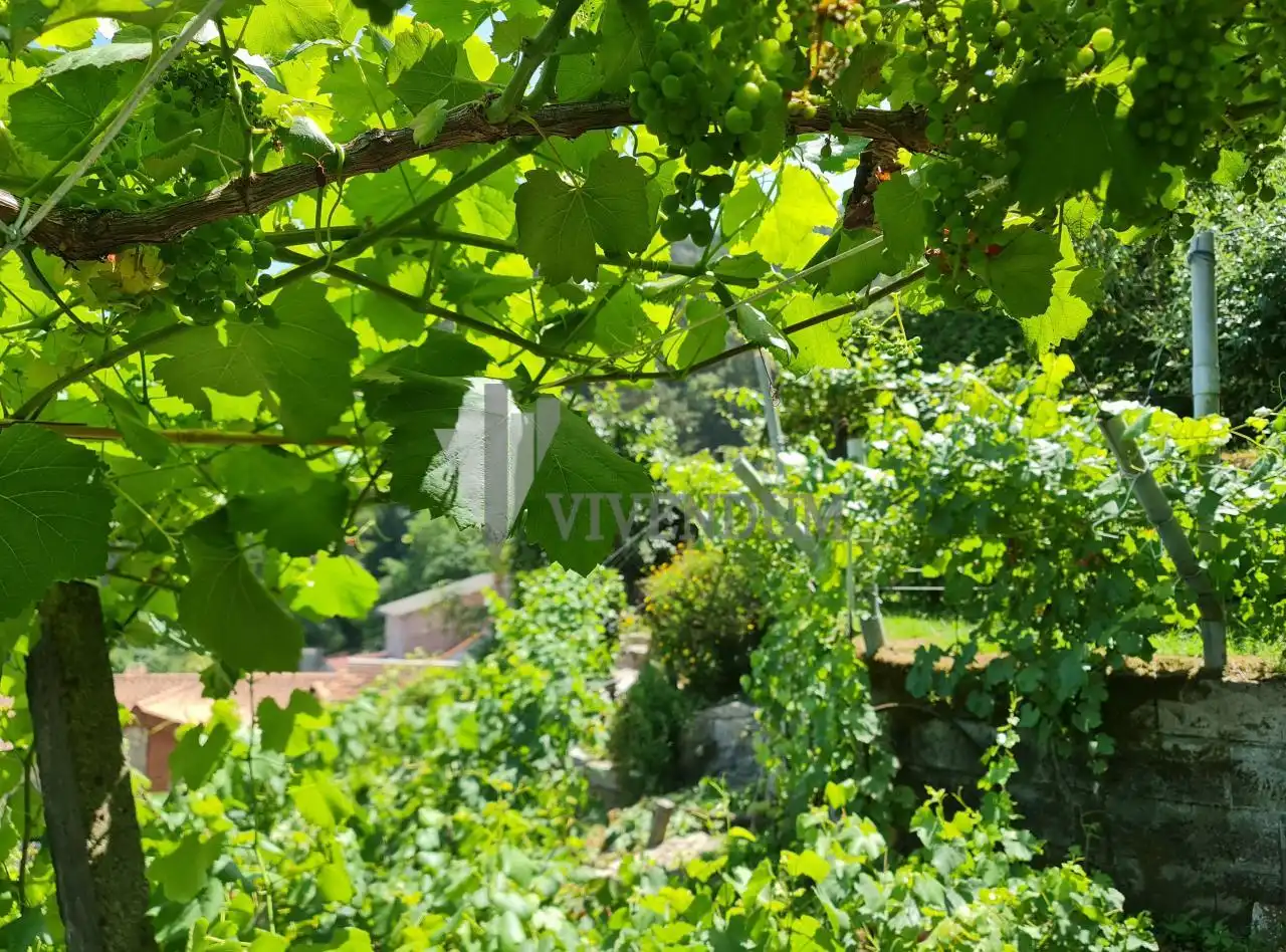 Jardín de Casa o chalet en venta en Redondela con Calefacción, Jardín privado y Terraza