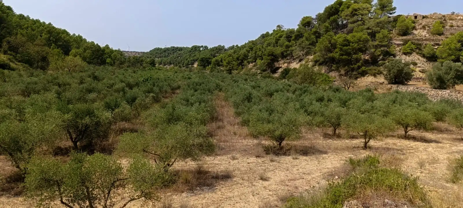 Residencial en venda en Vilalba dels Arcs