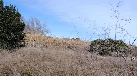 TERRENO RURAL EN CEHEGIN, immagine 5