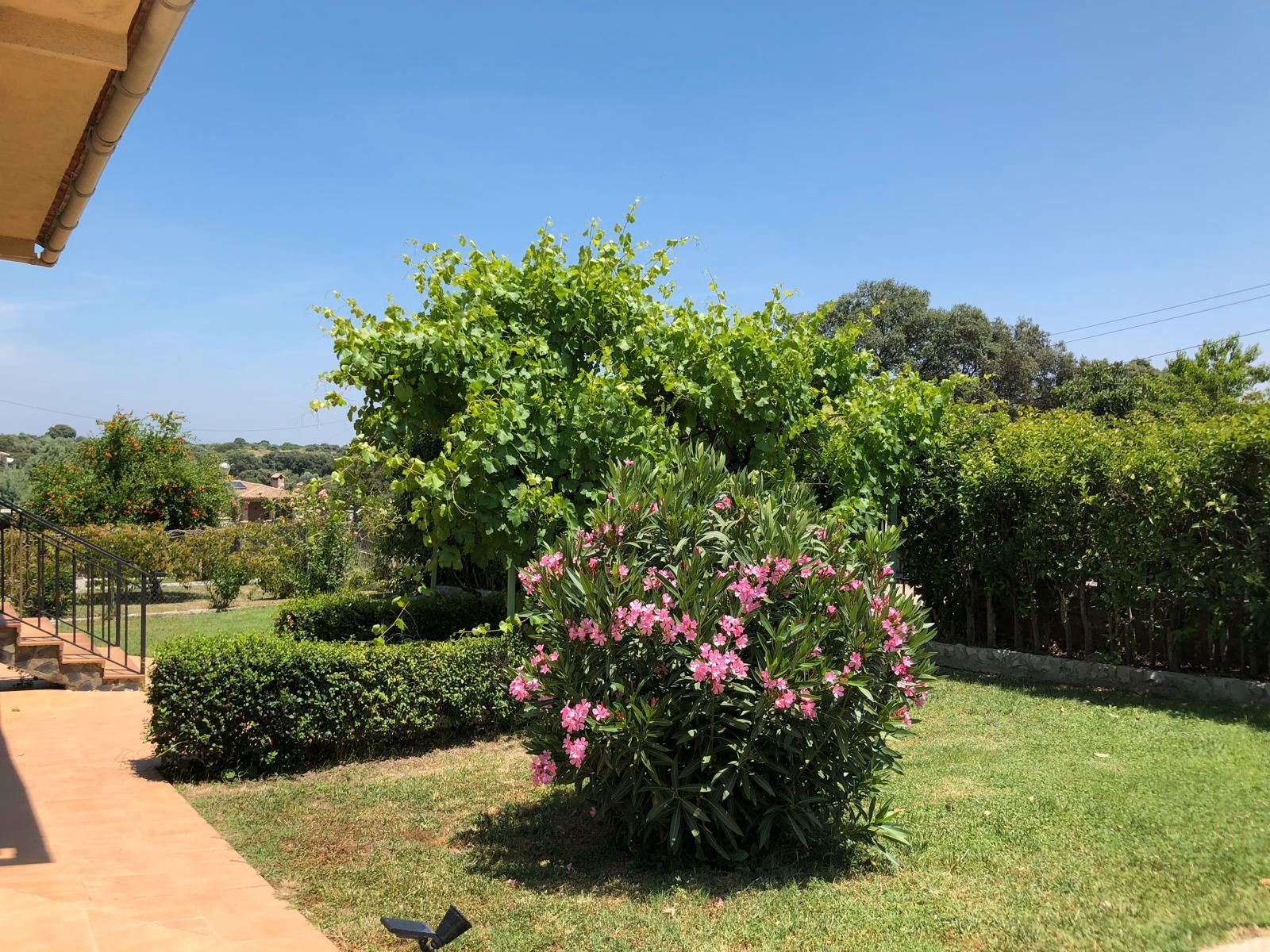 Jardí de Casa o xalet en venda en Hormigos amb Calefacció, Terrassa i Moblat
