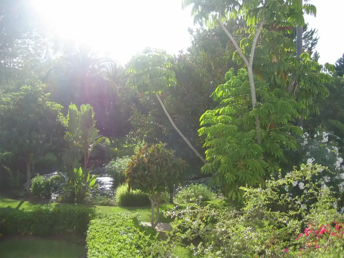 Jardí de Pis en venda en Estepona amb Aire condicionat, Jardí privat i Piscina
