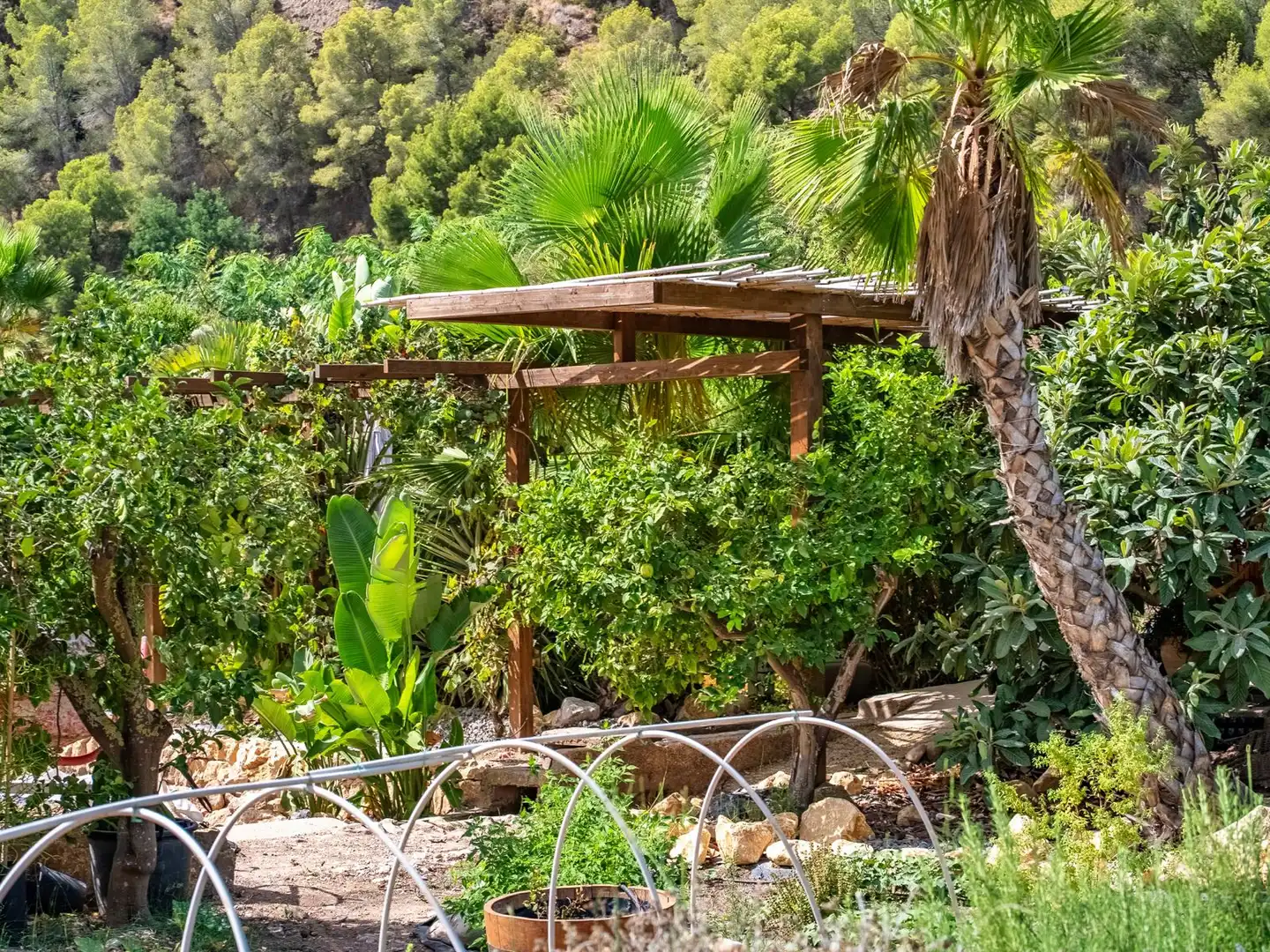 Jardín de Casa o chalet en venta en Callosa d'en Sarrià con Aire acondicionado, Jardín privado y Trastero