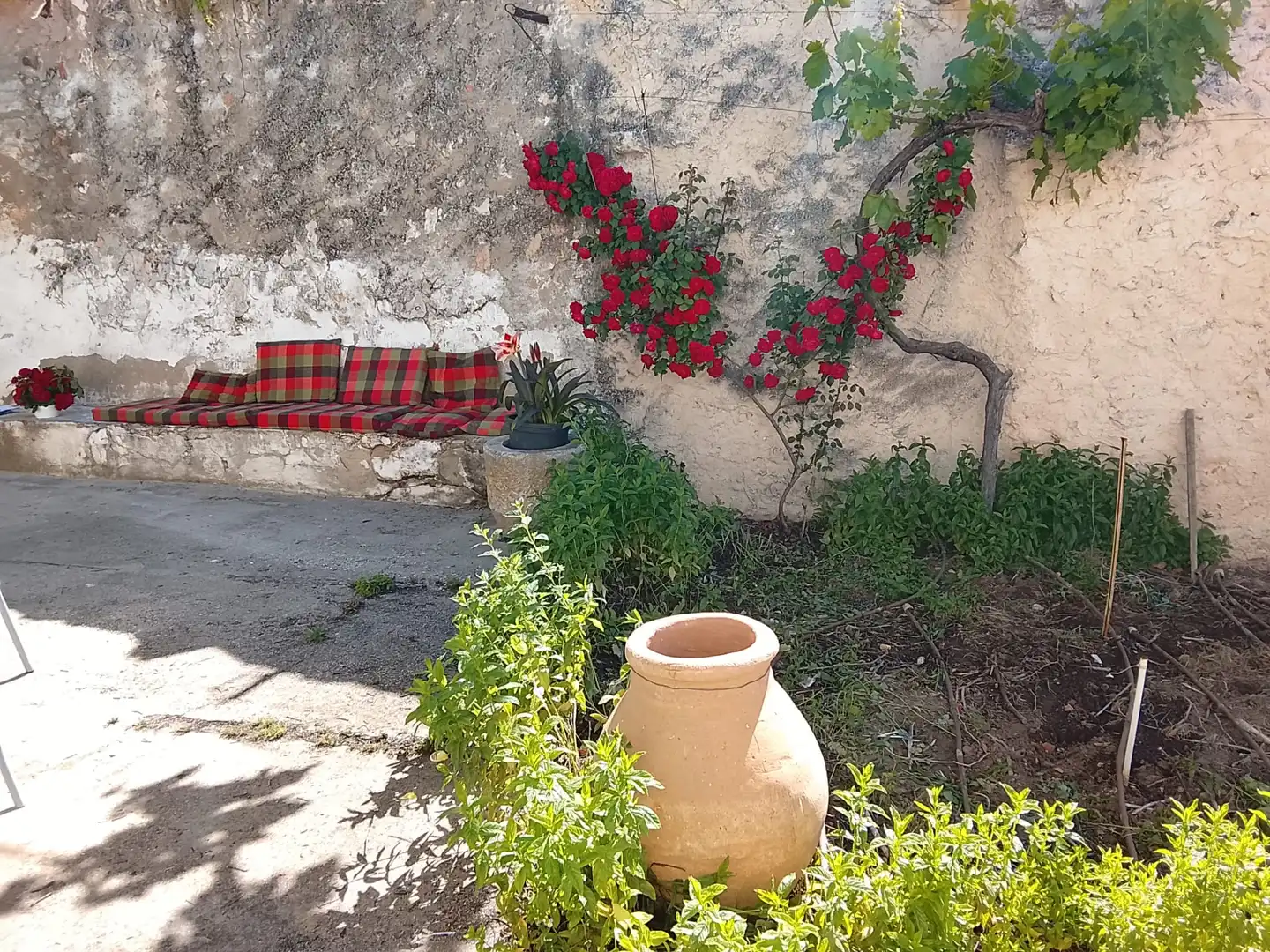 Garden of Houses for sale in Campillo de Altobuey  with Furnished