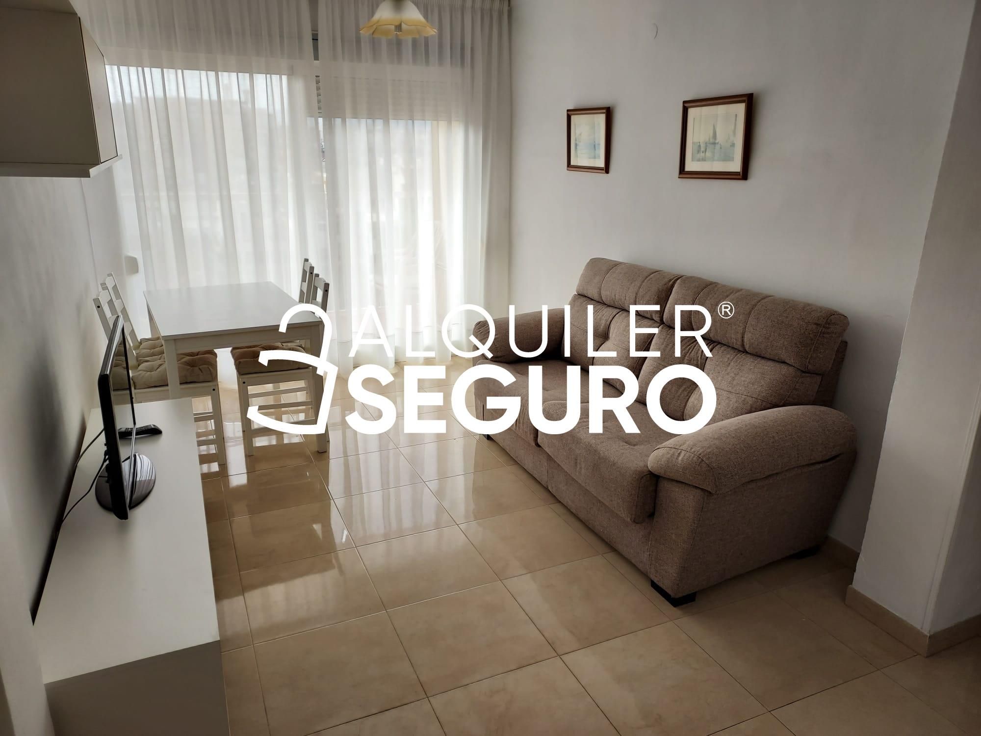 Living room of Flat to rent in Málaga Capital  with Terrace and Furnished