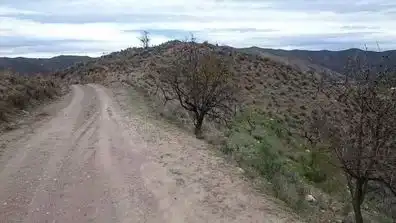 Lands and plots for sale in Cantoria, imagen 2