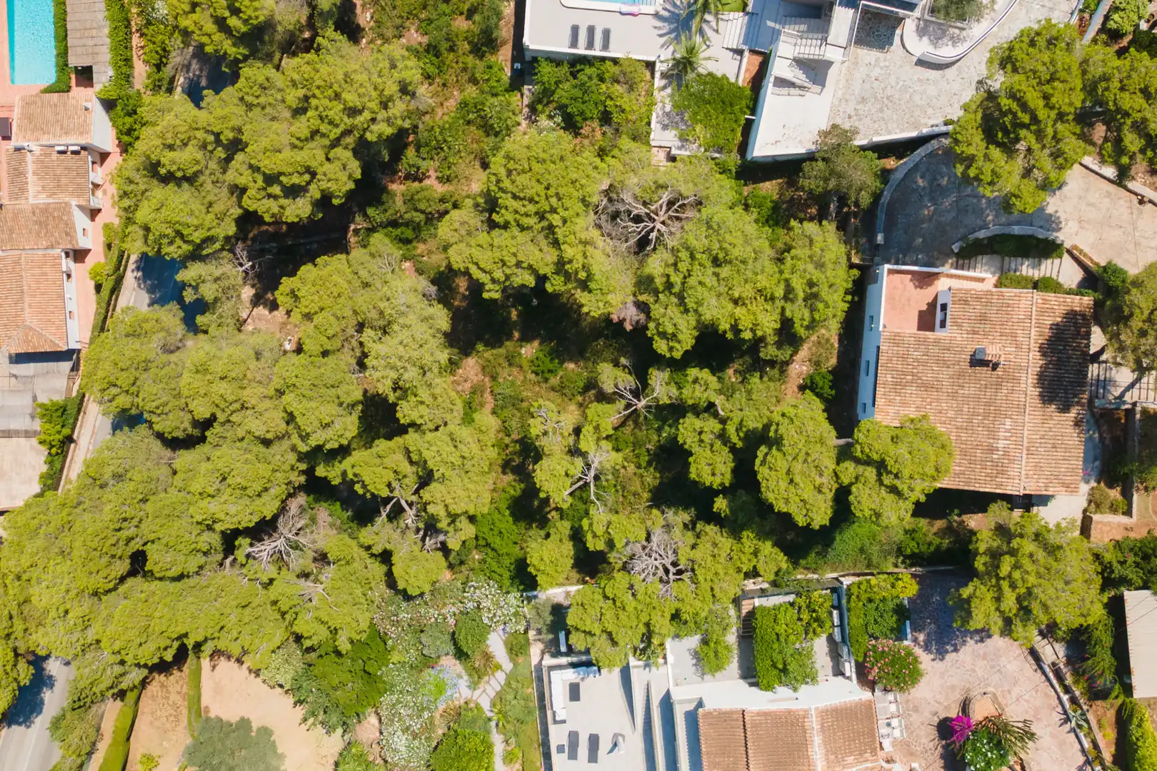 Casa o chalet en venta en La Granadella - Costa Nova