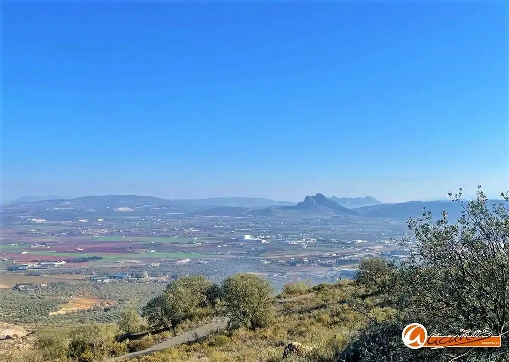 Lands and plots for sale in Bobadilla - Bobadilla Estación - La Joya, imagen 40