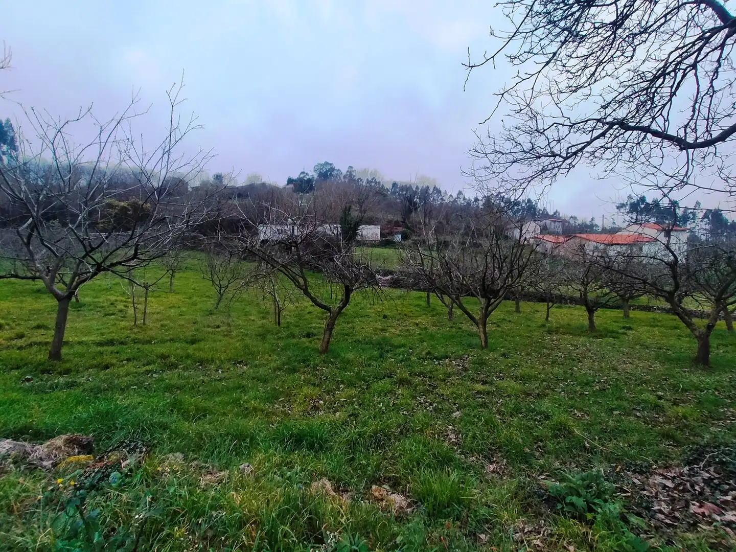 Terreni e lotti in vendita a Pravia, imagen 15