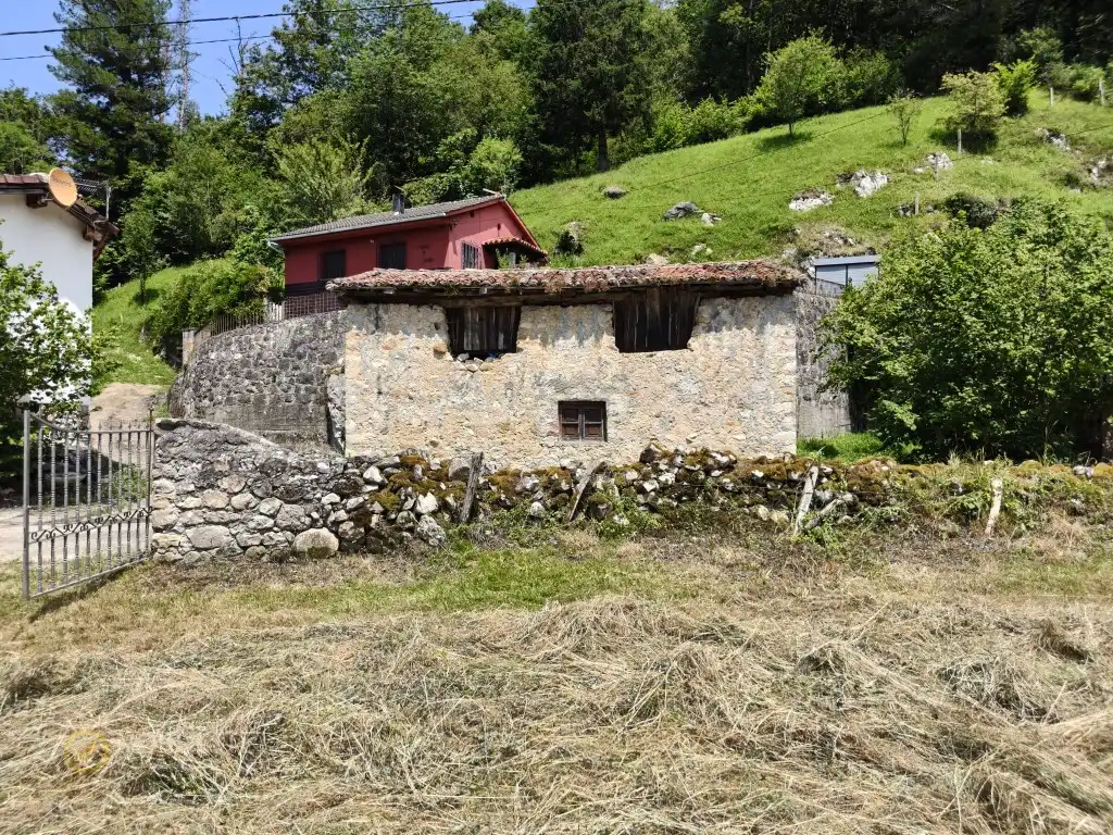 Vista exterior de Casa o chalet en venta en Cangas de Onís