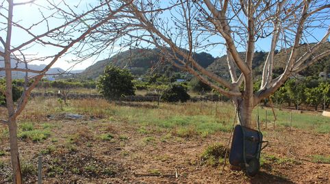 Foto 5 de Finca rústica de alquiler en Pego, Alicante