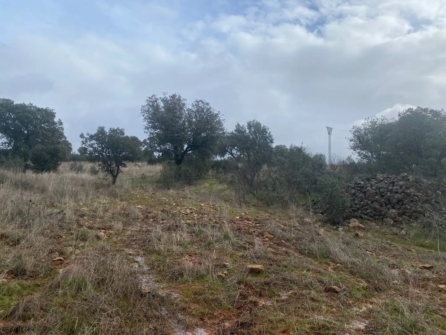 Terreno en venta en Anchuras