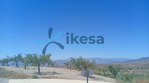 VENTA DE TERRENO RÚSTICO EN ALBOX ALMERÍA, immagine 2